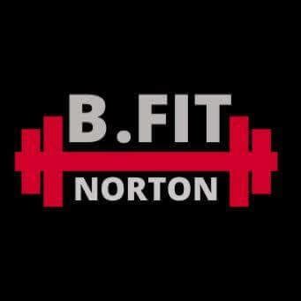 b fit norton|B FIT NORTON INC.